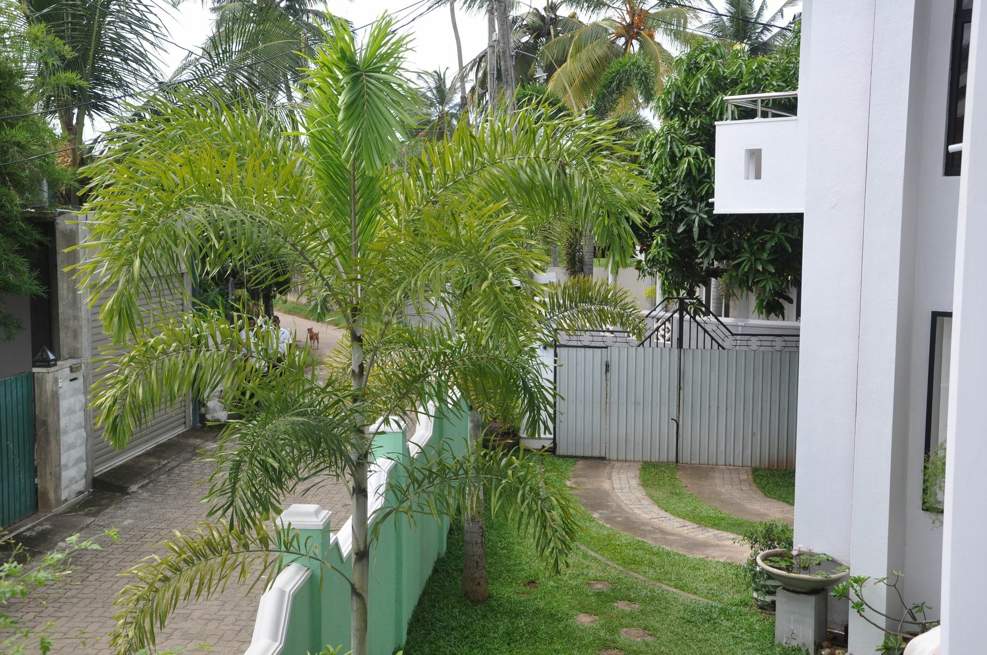 Shakuna Villa Hikkaduwa Exterior foto